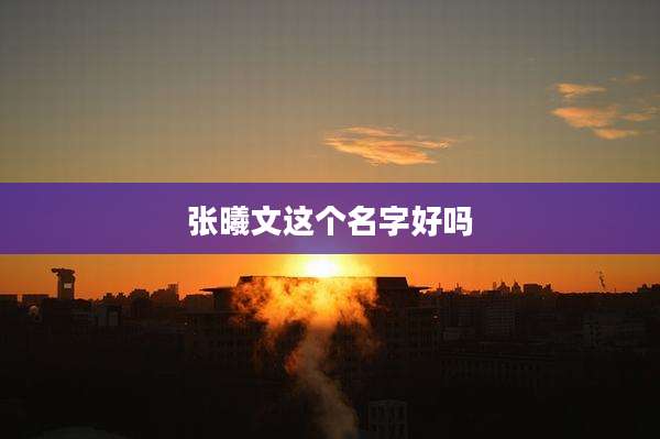 张曦文这个名字好吗