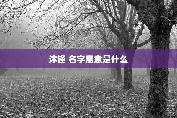 沐锋 名字寓意是什么