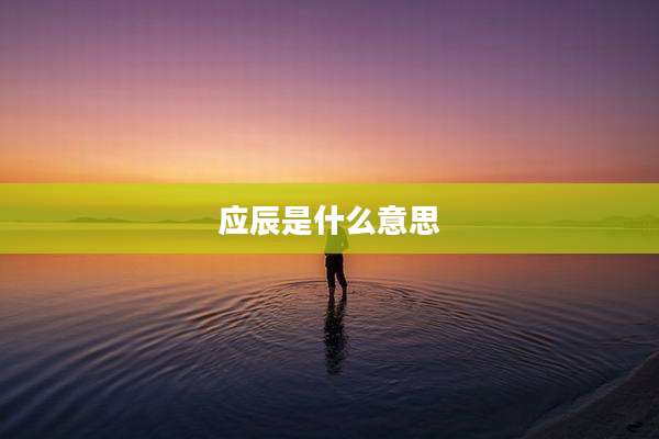 应辰是什么意思