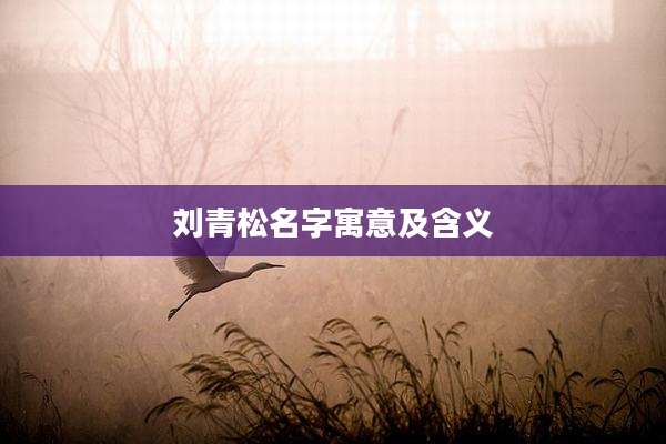 刘青松名字寓意及含义