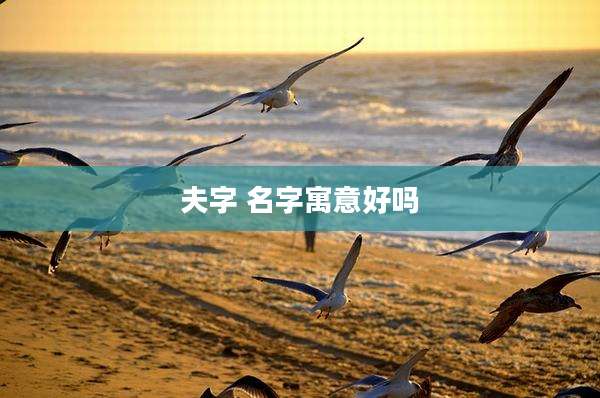 夫字 名字寓意好吗