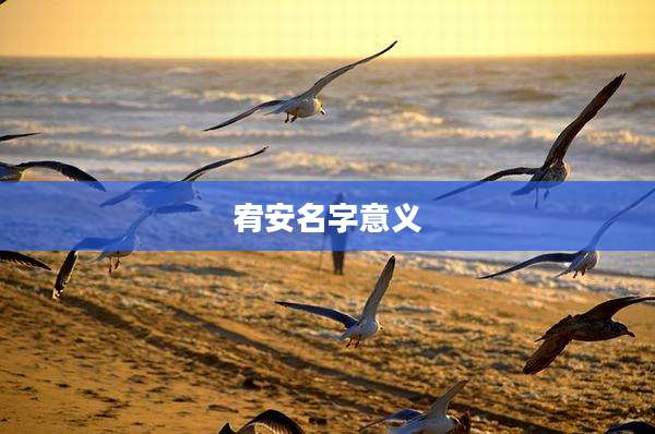 宥安名字意义