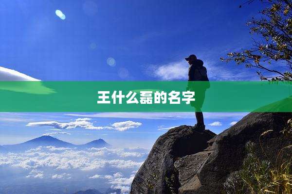 王什么磊的名字