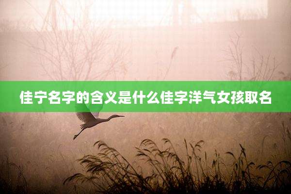 佳宁名字的含义是什么佳字洋气女孩取名