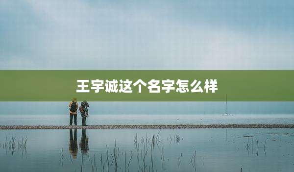 王宇诚这个名字怎么样