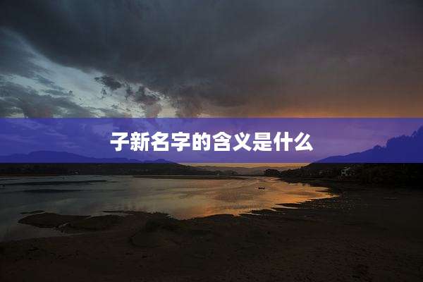 子新名字的含义是什么
