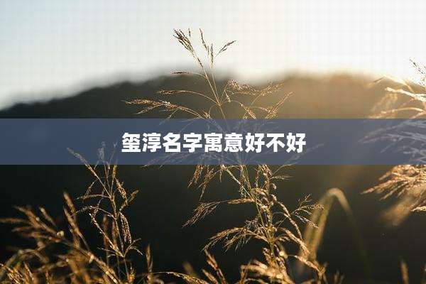 玺淳名字寓意好不好