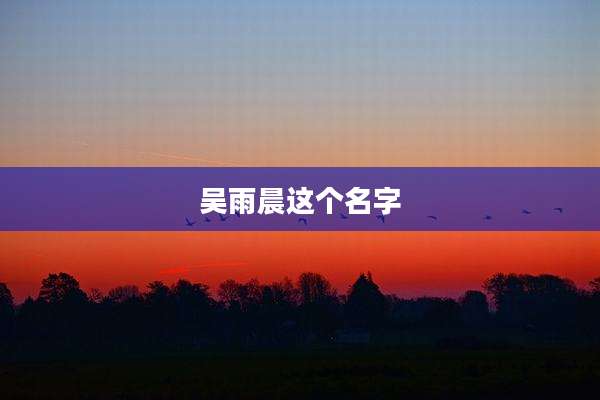 吴雨晨这个名字
