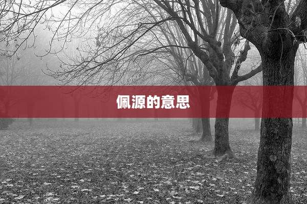 佩源的意思