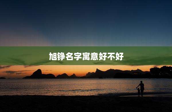 旭铮名字寓意好不好