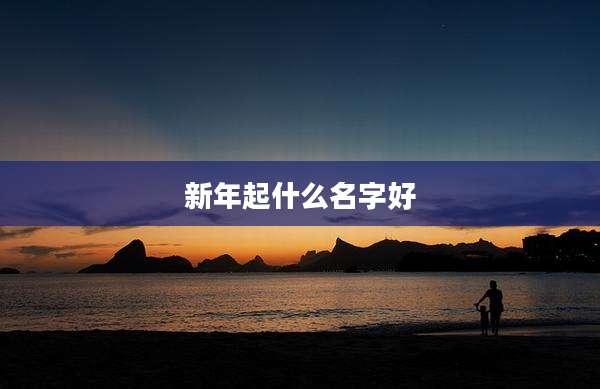 新年起什么名字好