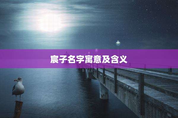 宸子名字寓意及含义