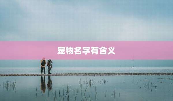 宠物名字有含义
