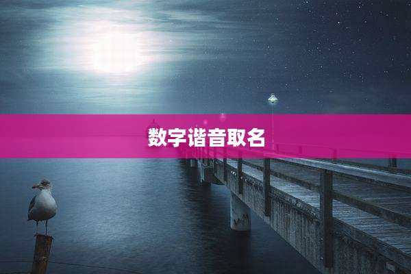 数字谐音取名