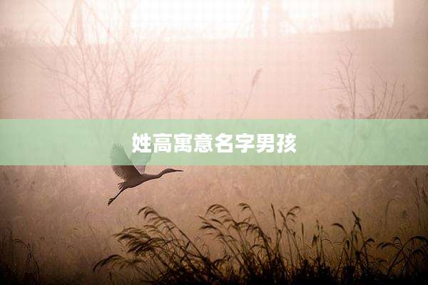 姓高寓意名字男孩