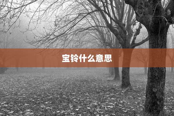 宝铃什么意思