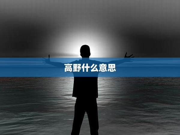 高野什么意思