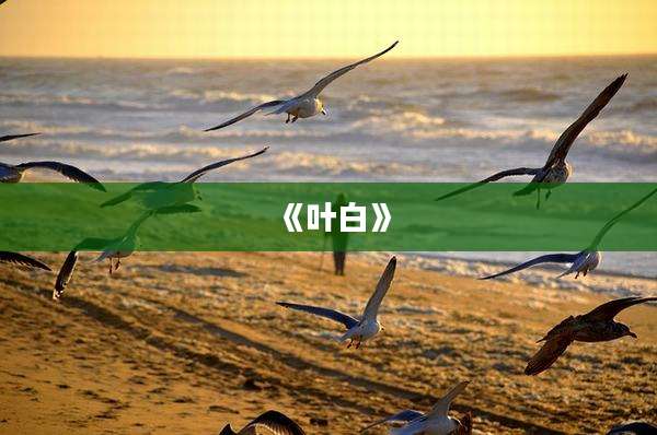《叶白》