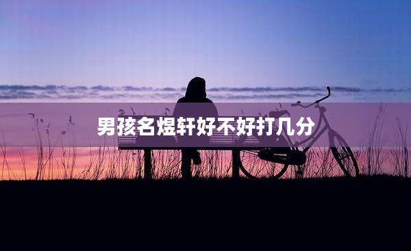 男孩名煜轩好不好打几分