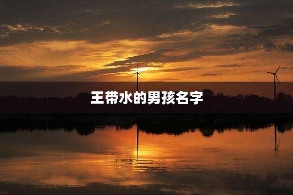 王带水的男孩名字