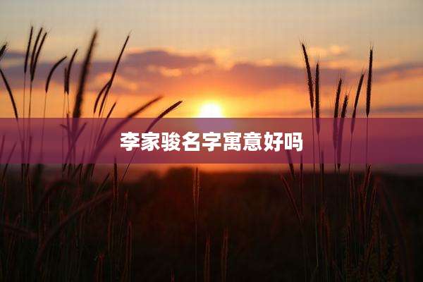 李家骏名字寓意好吗