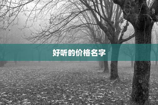 好听的价格名字