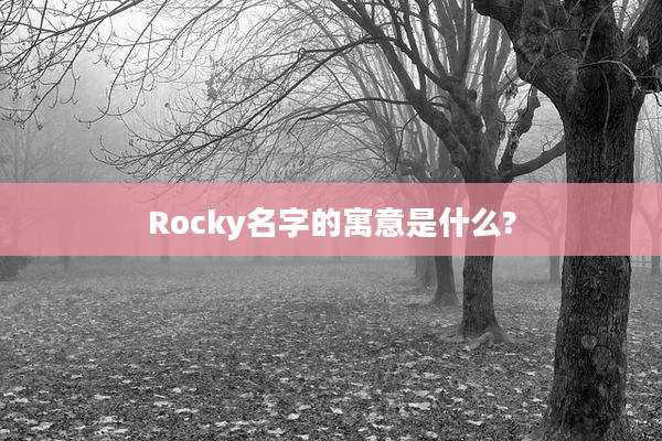 Rocky名字的寓意是什么?