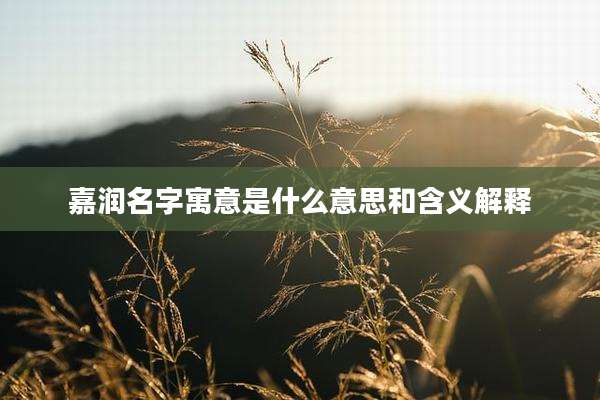 嘉润名字寓意是什么意思和含义解释