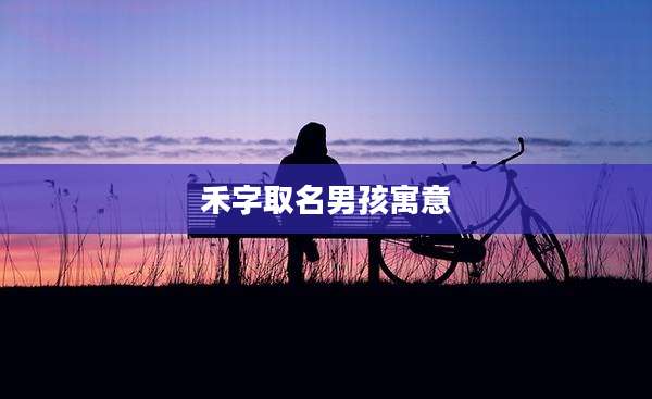 禾字取名男孩寓意