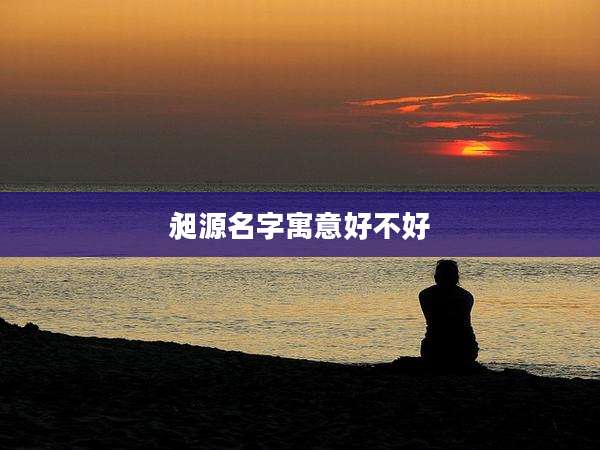 昶源名字寓意好不好