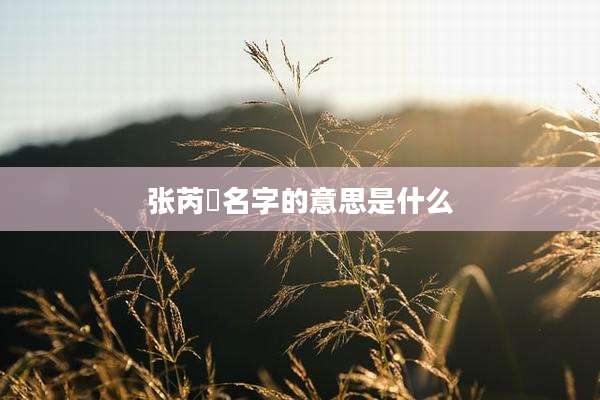 张芮晞名字的意思是什么