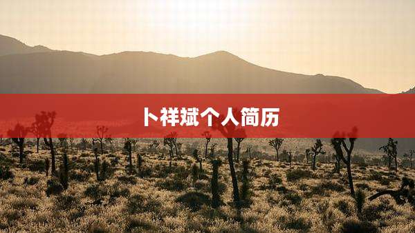 卜祥斌个人简历