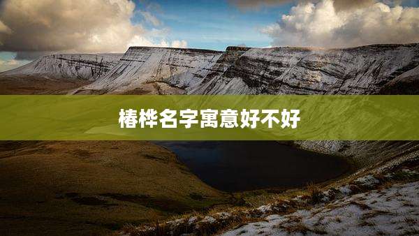 椿桦名字寓意好不好