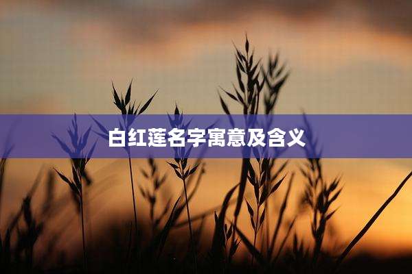 白红莲名字寓意及含义