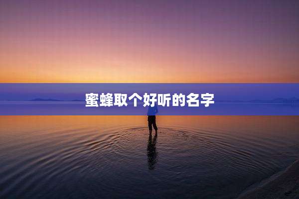 蜜蜂取个好听的名字