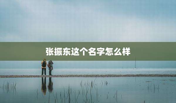 张振东这个名字怎么样