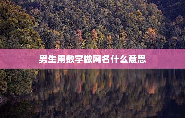 男生用数字做网名什么意思