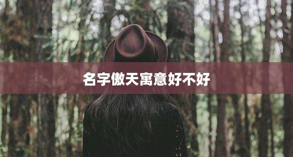 名字傲天寓意好不好