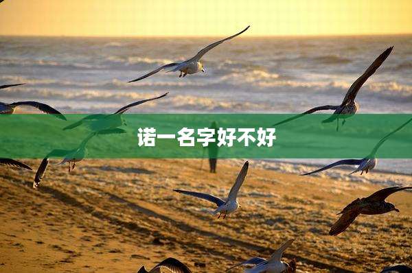 诺一名字好不好