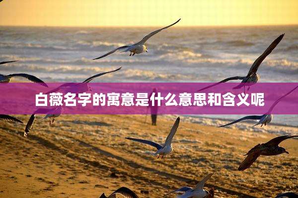 白薇名字的寓意是什么意思和含义呢