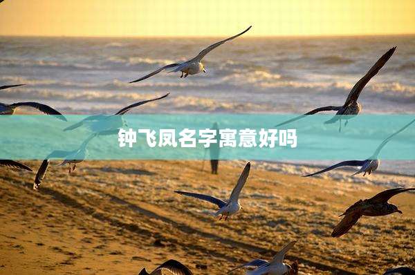 钟飞凤名字寓意好吗