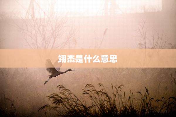 翊杰是什么意思