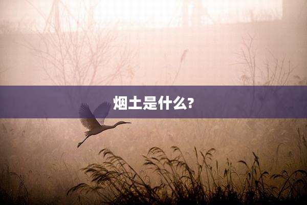 烟土是什么?