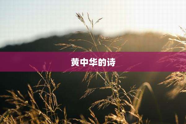 黄中华的诗