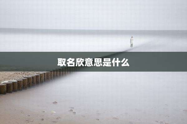 取名欣意思是什么