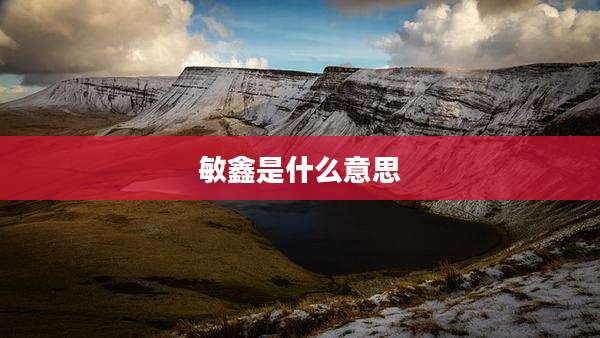 敏鑫是什么意思