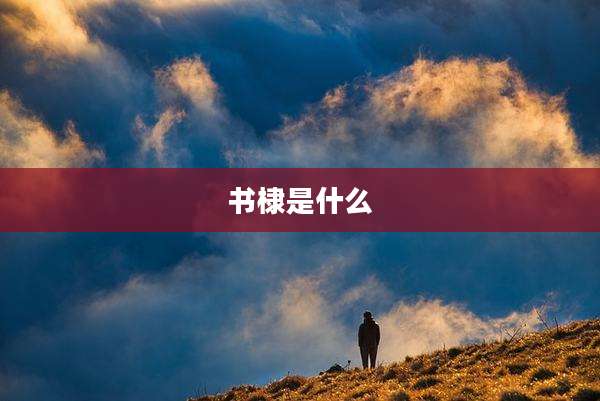 书棣是什么