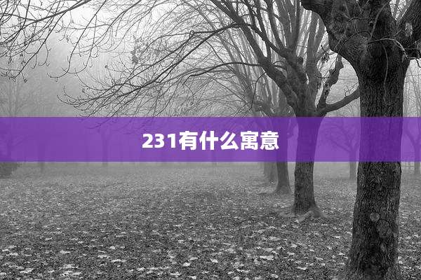 231有什么寓意