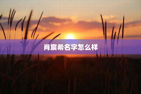 肖宸希名字怎么样