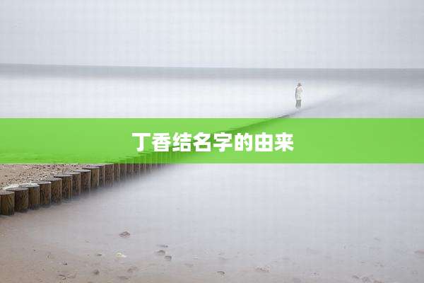 丁香结名字的由来